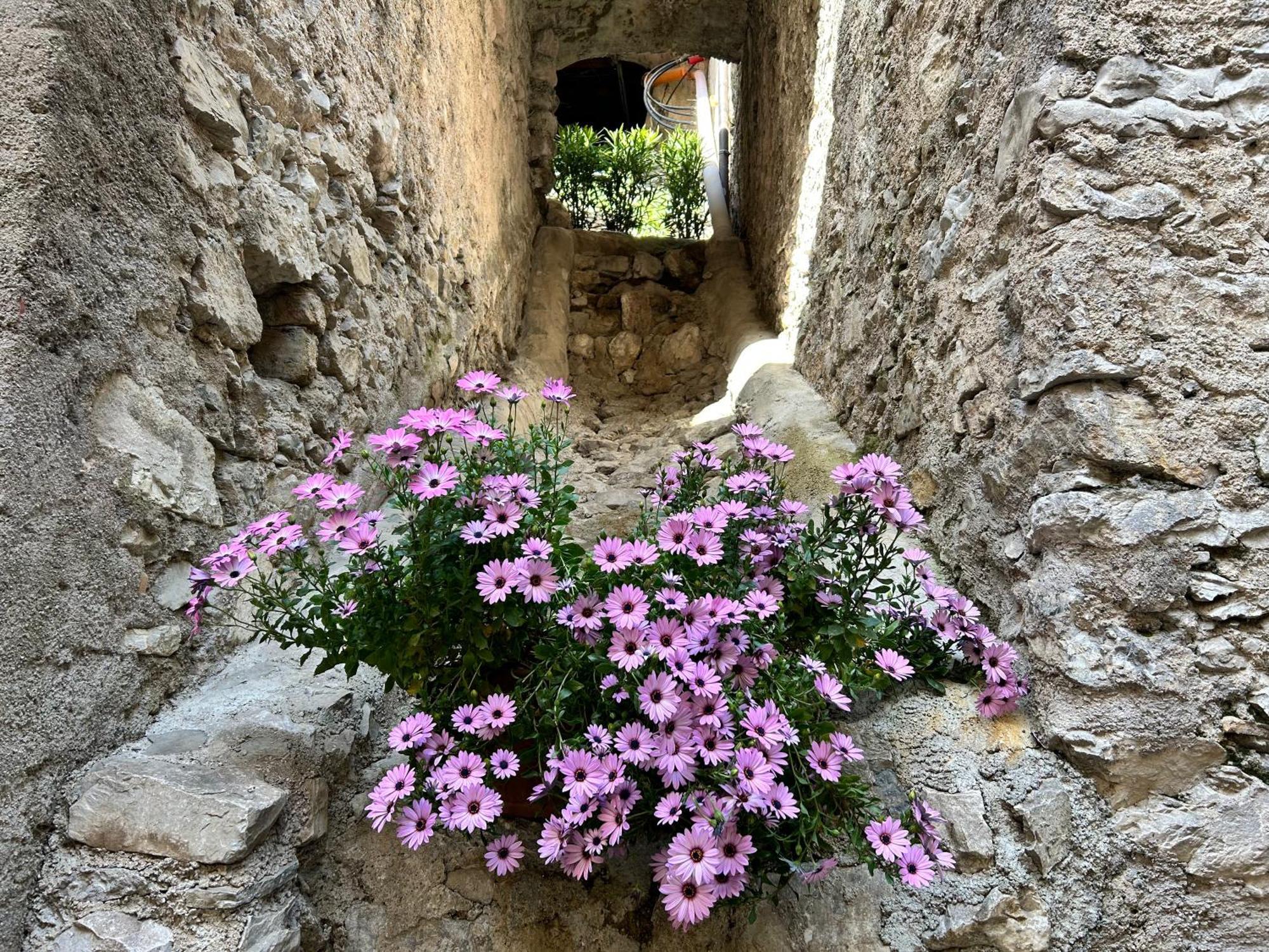 Studios Al Castello Dei Limoni Limone sul Garda Eksteriør bilde