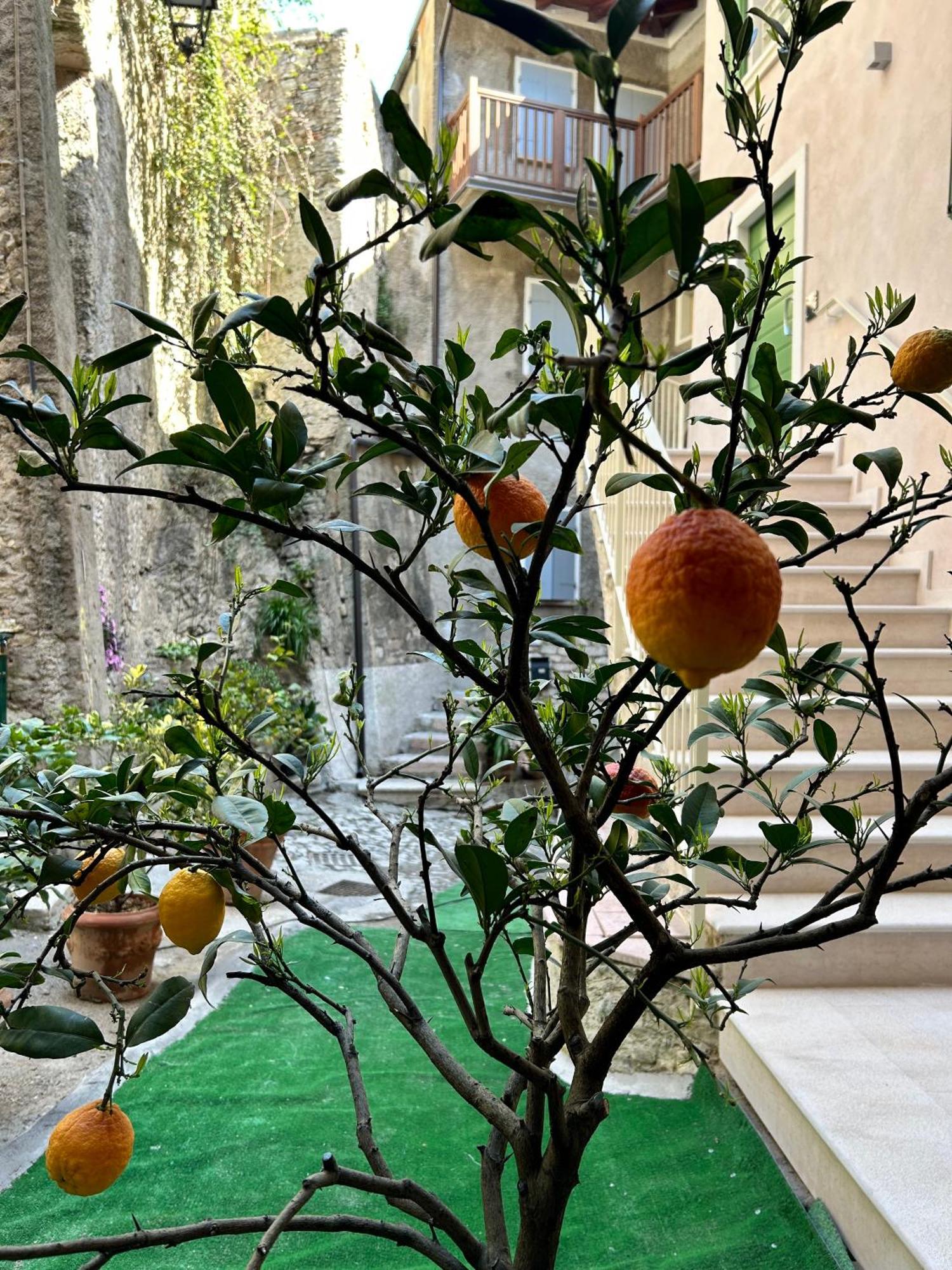 Studios Al Castello Dei Limoni Limone sul Garda Eksteriør bilde